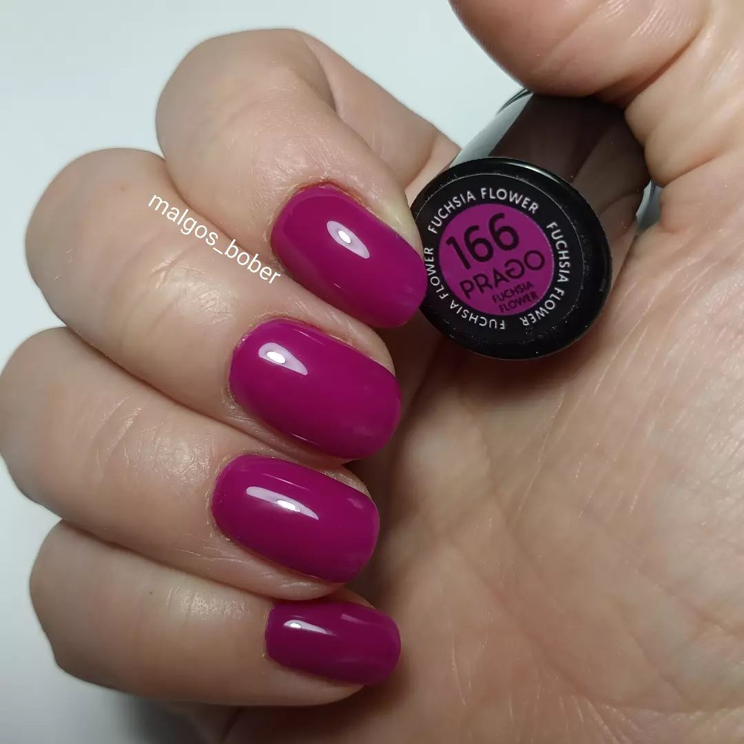 PRAGO hibridni lak za nokte u boji 5 ml - FUCHSIA FLOWER